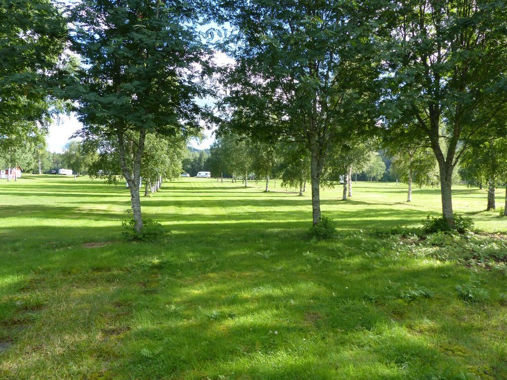 Bjoerkebo Camping Stöllet المظهر الخارجي الصورة