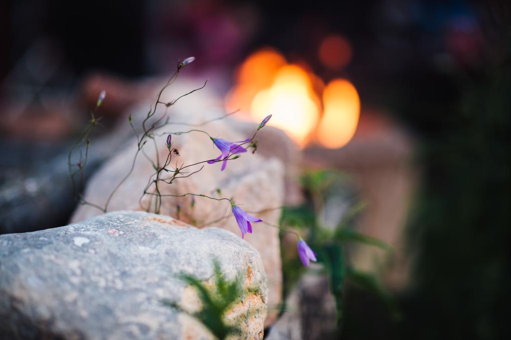 Bjoerkebo Camping Stöllet المظهر الخارجي الصورة