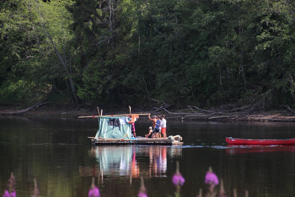 Bjoerkebo Camping Stöllet المظهر الخارجي الصورة